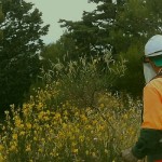 Lavoro Puglia: concorso in Agenzia Regionale per 110 operai