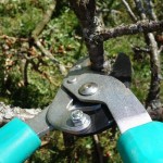 Lavoro Campania: concorso per 45 manutentori del verde