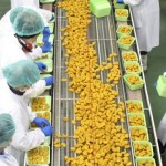 Lavoro Abruzzo: Amadori cerca operai in azienda