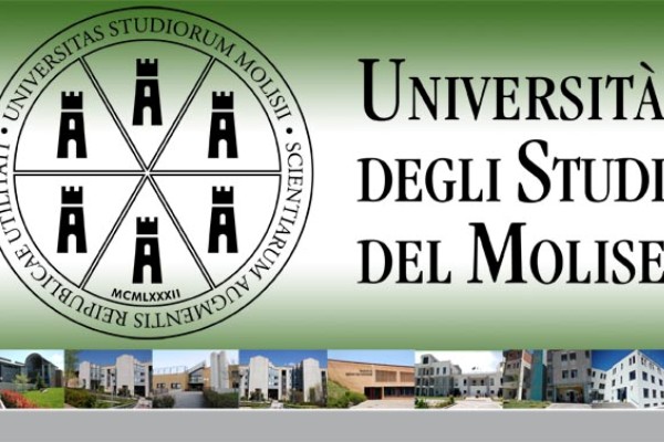 UniMolise: borse di studio per il dottorato