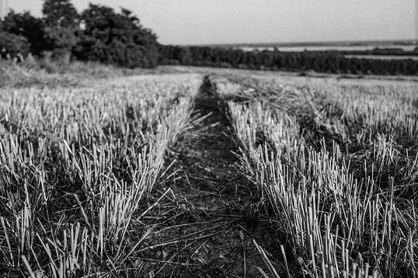 Ripartiamo dalla Terra